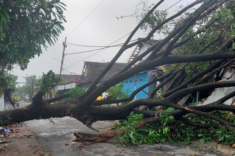 Satu rumah di Desa Manisrejo, Kecamatan Karangrejo, Kabupaten Magetan, mengalami rusak berat karena tertimpa pohon besar ketika hujan deras mengguyur Magetan pada hari Rabu (25/9) sore. Potensi hujan deras disertai angin kencang masih akan terjadi seminggu kedepan.