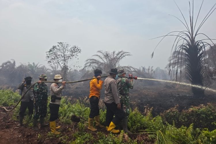 Hadapi Kendala Pemadaman Karhutla di Bengkalis Riau, Polisi: Arah Angin Berubah-ubah