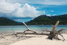 Pulau Kelagian Lunik di Lampung: Daya Tarik, Aktivitas, dan Biaya