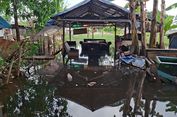 Pemprov DKI Jakarta Siapkan Tata Kelola Kurban Idul Adha yang Tertib, Higienis, dan Ramah Lingkungan — image 6
