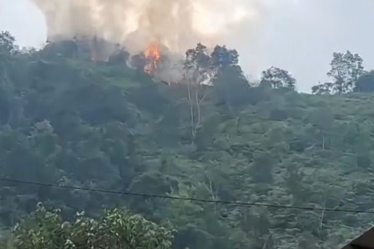 Karhutla di Harau Sumbar Hanguskan 1 Hektar Lahan, Diduga akibat Warga Bakar Sampah