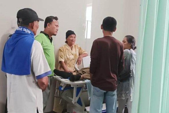 Kronologi Sapi Hantam Panitia Kurban di Lampung, Korban Dilarikan ke Rumah Sakit