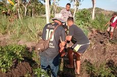 Garap Sawah, 2 Lansia di Bantul Tersengat Tawon hingga Seluruh Tubuh