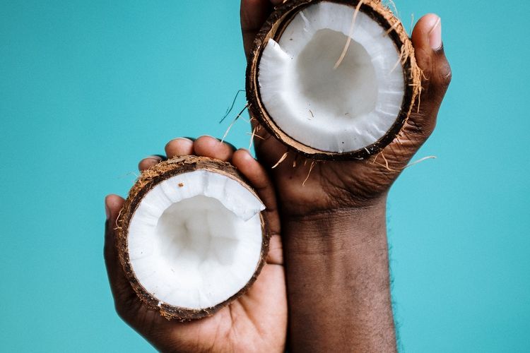 Ilustrasi kelapa, buah kelapa.