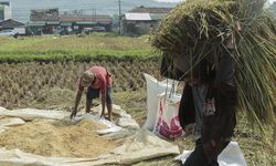 Tidak Semua Petani, Nelayan, dan UMKM Dihapus Utangnya, Ini Kriterianya