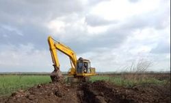 Cegah Alih Fungsi Lahan, Kementan Siap Koordinasi dengan Pemda