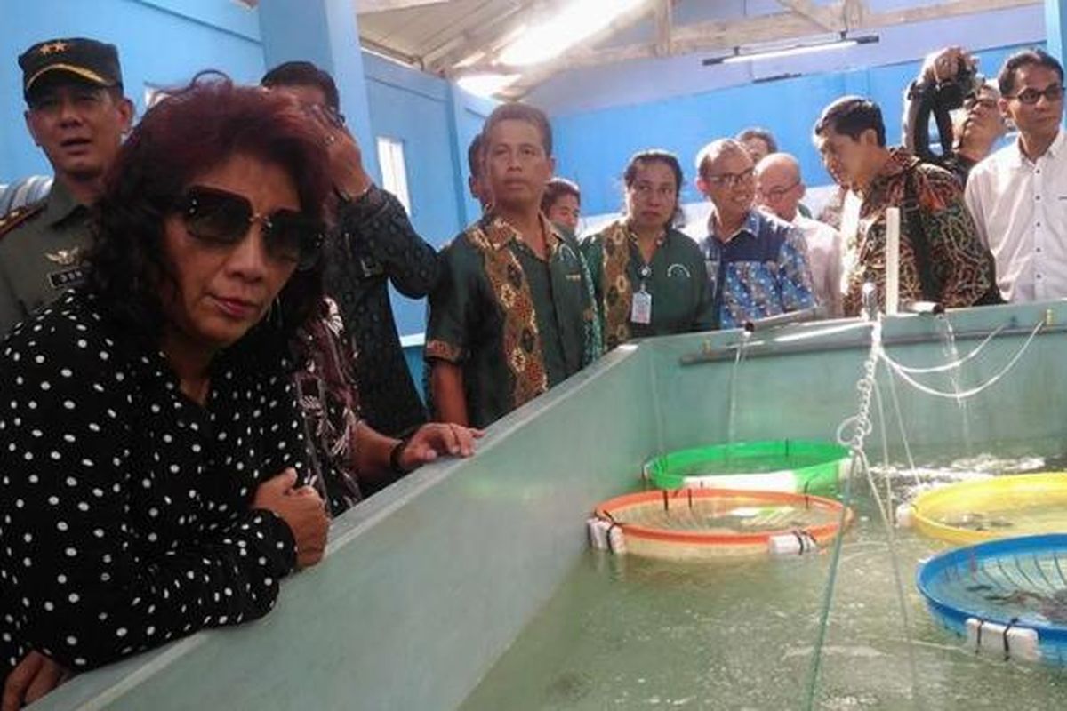 Menteri kelautan dan perikanan Susi Pudjiastuti saat mengunjungi BalaiPerikanan Budidaya Laut (BPBL) Malukudi Desa Waiheru, Jumat (16/12/2016)