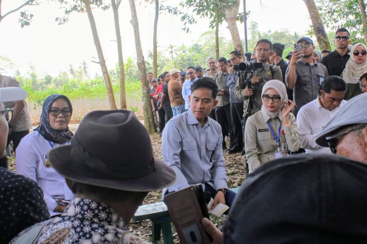 Petani Singkong Minta Harga Rp 2.500 per Kilogram, Gibran Janji Carikan Solusi