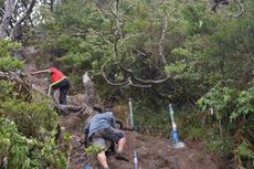 Libur HUT RI, Pendakian Gunung Gede Pangrango Masih Ditutup