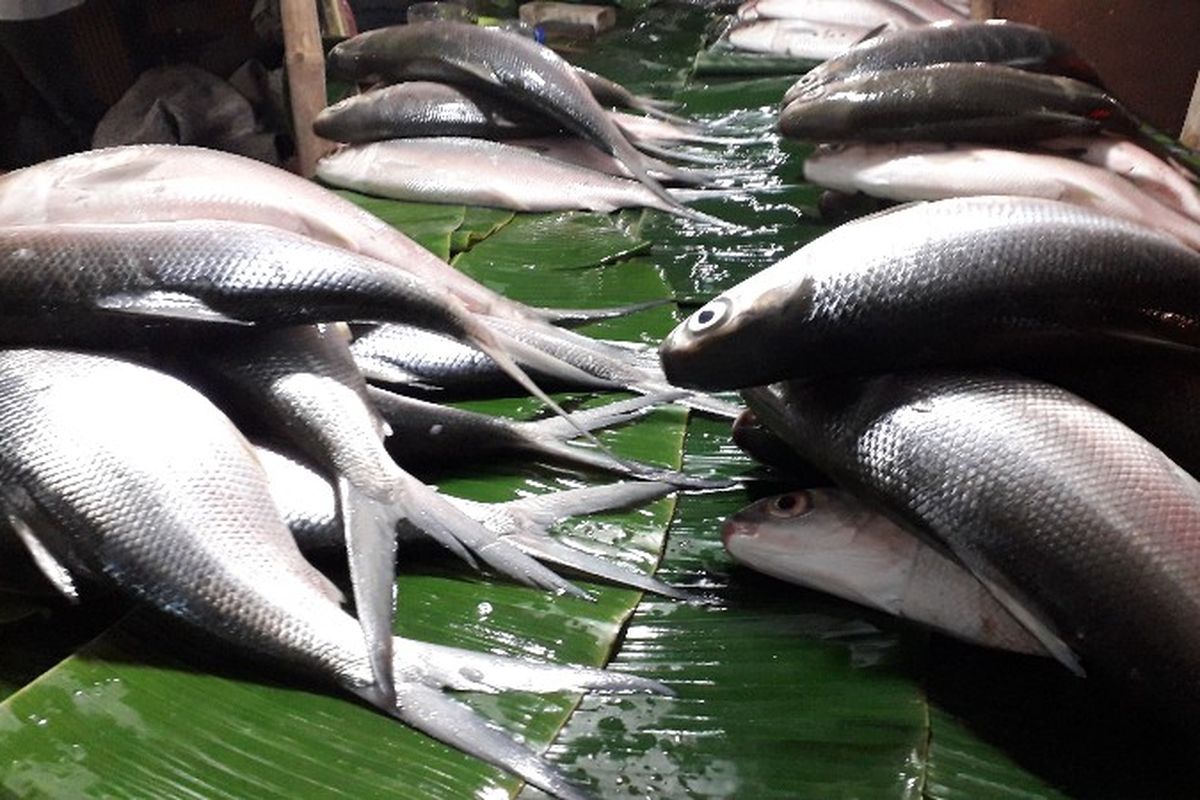 Para penjual ikan bandeng dadakan muncul di Pasar Rawa Belong, Palmerah, Jakarta Barat pada Senin (12/2/2018), jelang perayaan Hari Raya Imlek.