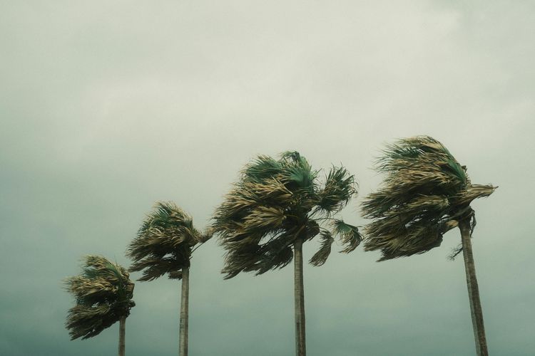 Peringatan Dini BMKG 22 Maret 2026: Daftar Wilayah Berpotensi Cuaca Ekstrem dan Hujan Lebat