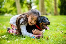 Studi: Memelihara Anjing Meningkatkan Perkembangan Emosional Anak