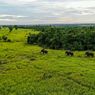 6 Fakta Taman Nasional Way Kambas Lampung, Tempat Konservasi Gajah Sumatera