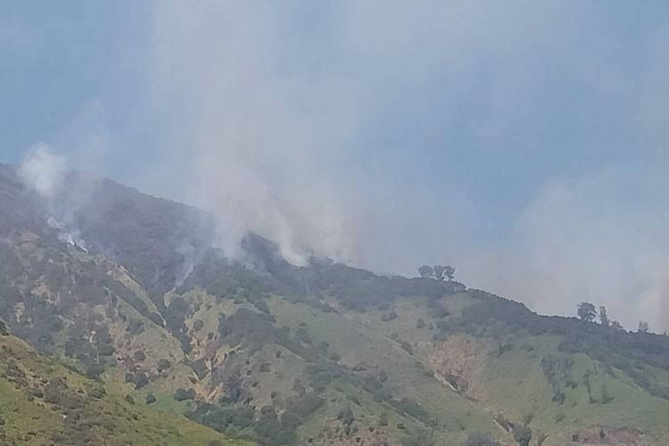 Gunung Merapi Ungup-ungup Terbakar, Api Mengarah ke Kawah Ijen