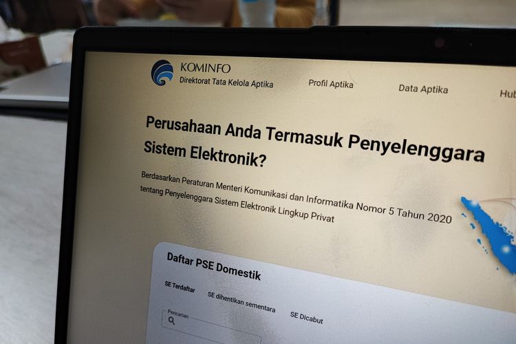 Deskripsi situs pse.kominfo.go.id yang berisi daftar PSE lingkup swasta yang terdaftar di Kominfo.