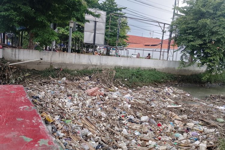 BRIN Usul Sanksi Tukin ASN Dipotong dan Tunda BPJS, Kalau Abai Urusan Sampah