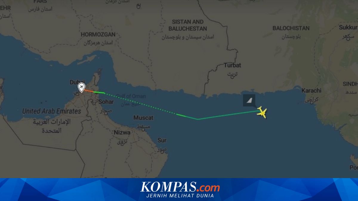 Pesawat Kargo Boeing 737 Diduga Jatuh di Laut Arab, Bergerak Tak Biasa