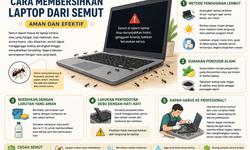 Laptop Jadi Sarang Semut, Bagaimana Mengatasinya?