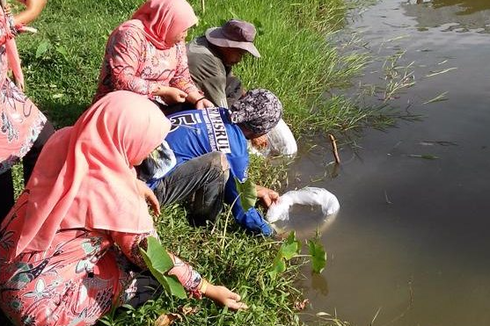Mitos Menangkap Ikan Larangan di Sumatera Barat dan Papua, Musibah bagi Pelakunya