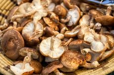 4 Manfaat Jamur Shiitake untuk Kesehatan, Baik untuk Jantung 