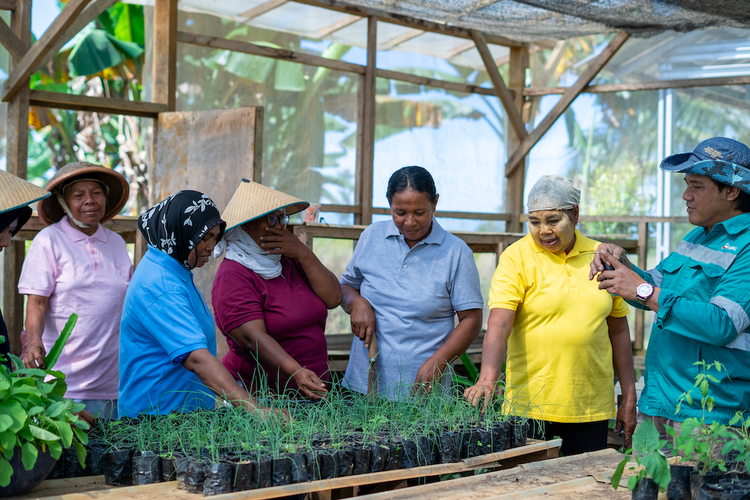 Harita Group berkomitmen untuk terus mendukung pembangunan berkelanjutan melalui pemenuhan Tujuan Pembangunan Berkelanjutan (TPB) atau Sustainable Development Goals (SDGs) Nomor 2 Tanpa Kelaparan, Nomor 5 Kesetaraan Gender, dan Nomor 8 Pekerjaan Layak dan Pertumbuhan Ekonomi. Salah satu upaya adalah dengan melakukan pembinaan di bidang pertanian.

