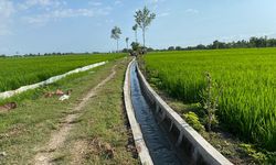 Mentan SYL: Irigasi Jadi Solusi untuk Tingkatkan Produktivitas Pertanian di Lampung