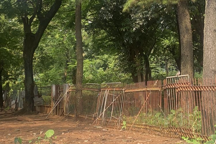 Pengelola TMP Kalibata Akan Perbaiki Pagar Kandang Usai Rusa Kabur ke Jalan