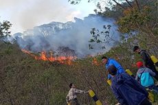 Hutan Cagar Alam Gunung Papandayan Terbakar