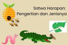 Satwa Harapan: Pengertian dan Jenisnya