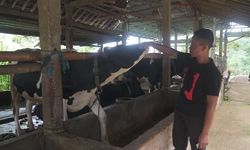 Dari Nol Jadi Juragan Pakan Ternak, Tommy Wavolta Buktikan KUR BRI Bisa Bawa UMKM Melesat