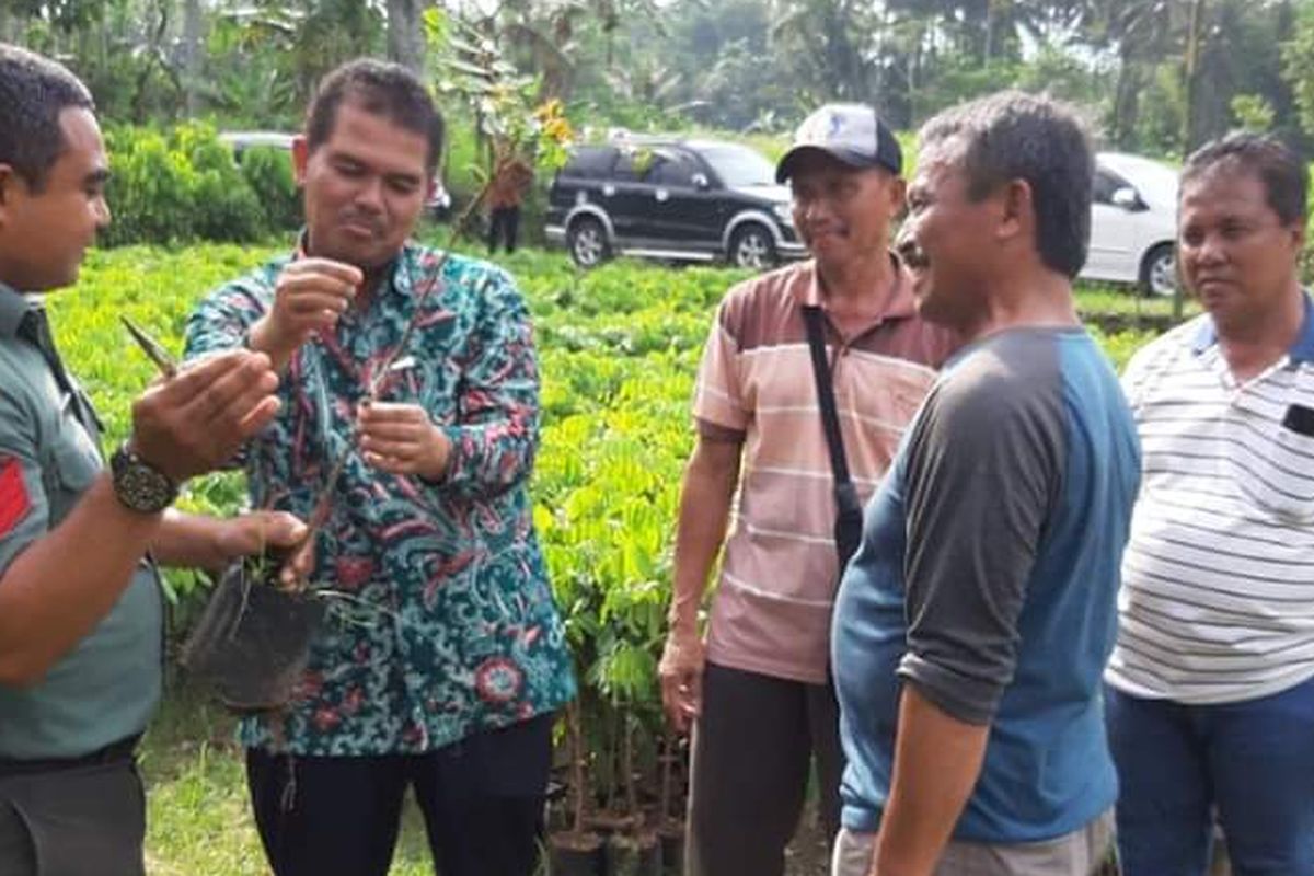 Dirjen Hortikultura Kementan Suwandi memantau sentra pembibitan Buah di Kabupaten Magelang.