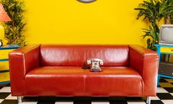 Terkenal Tahan Lama, Ini Cara Merawat Sofa Kulit