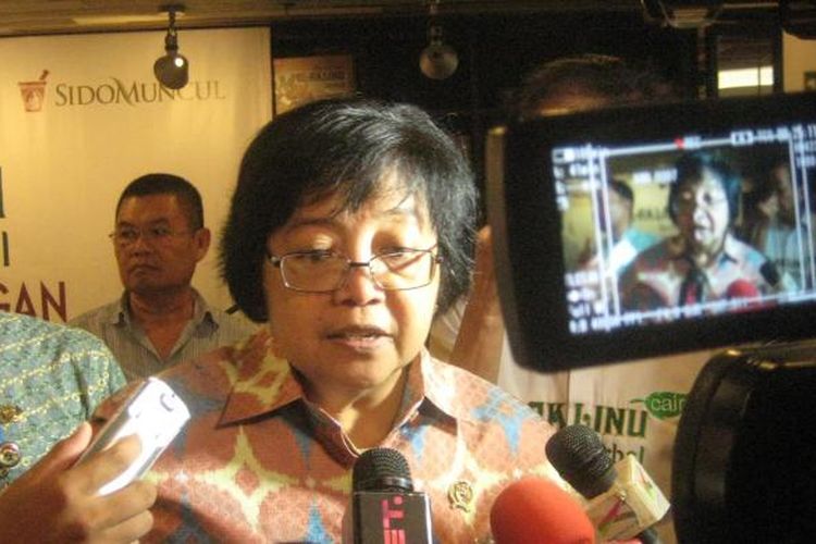 Menurut Menteri Lingkungan Hidup dan Kehutanan Siti Nurbaya Bakar, Indonesia tetap berkomunikasi dengan pihak Prancis ihwal kemajuan pembenahan lahan kelapa sawit berkelanjutan. Program pembenahan ini menyangkut pula lahan gambut dan kawasan hutan.  