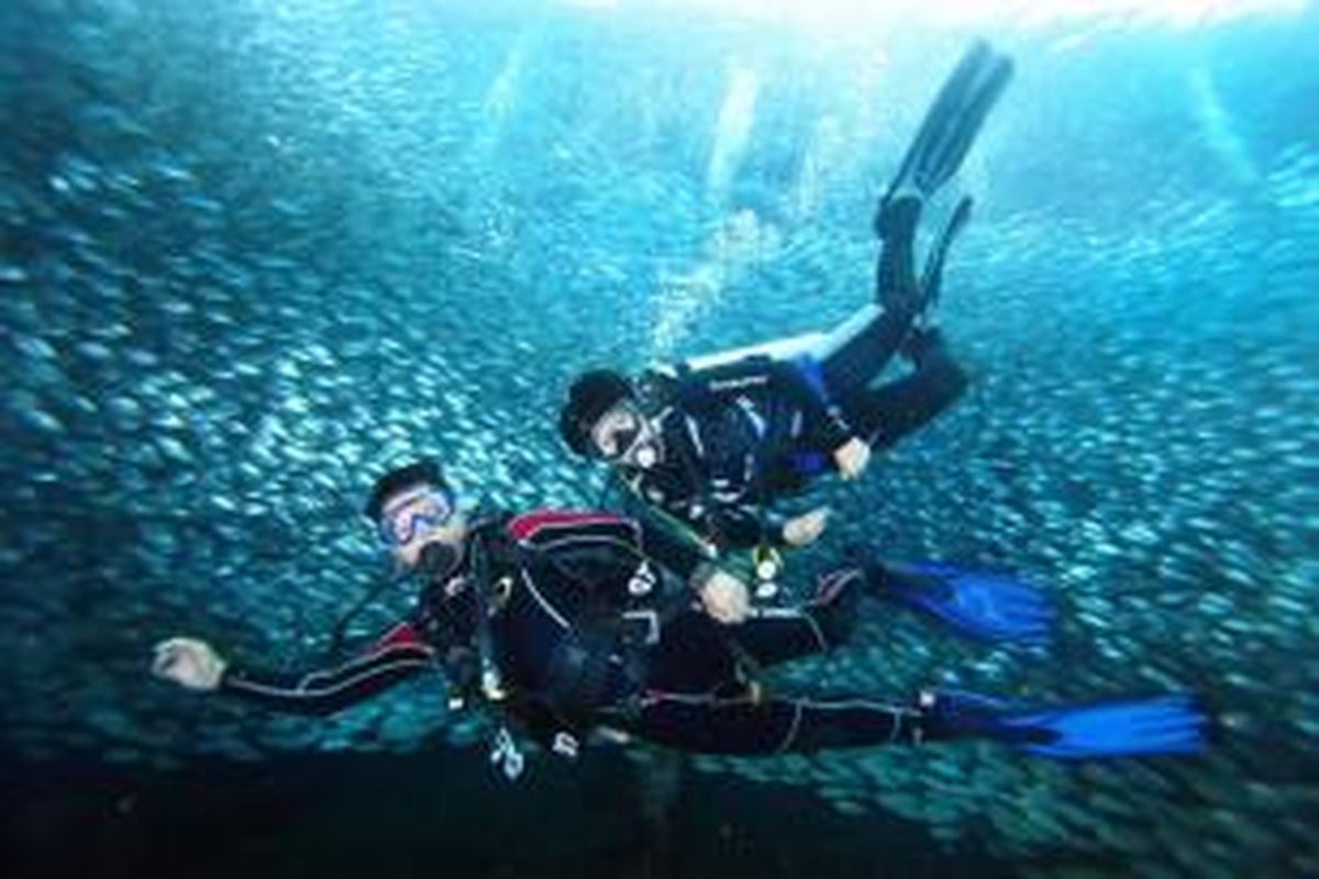 Pengalaman berenang merupakan daya tarik wisata di Raja Ampat.