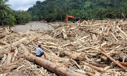 Pembalakan Liar: Tantangan Regulasi dan Ancaman bagi Generasi Mendatang