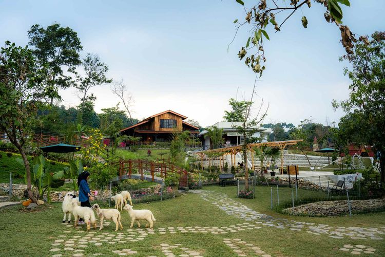 Rute Menuju Wisata Bukit Domba di Sentul