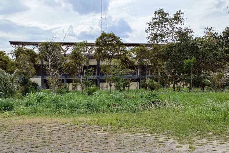 Kondisi GOR renang di Kompleks Stadion Palaran, Samarinda, Kalimantan Timur, Selasa (19/3/2024). Sekelilingnya dipenuhi semak belukar, rumput liar, dan ilalang.