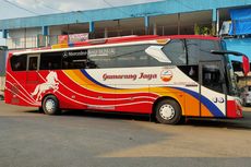 Intip Kabin Bus Kelas Maunjua Punya PO Gumarang Jaya