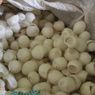 Singapura Akan Izinkan 16 Spesies Serangga Dikonsumsi Manusia, termasuk Kepompong Ulat Sutera