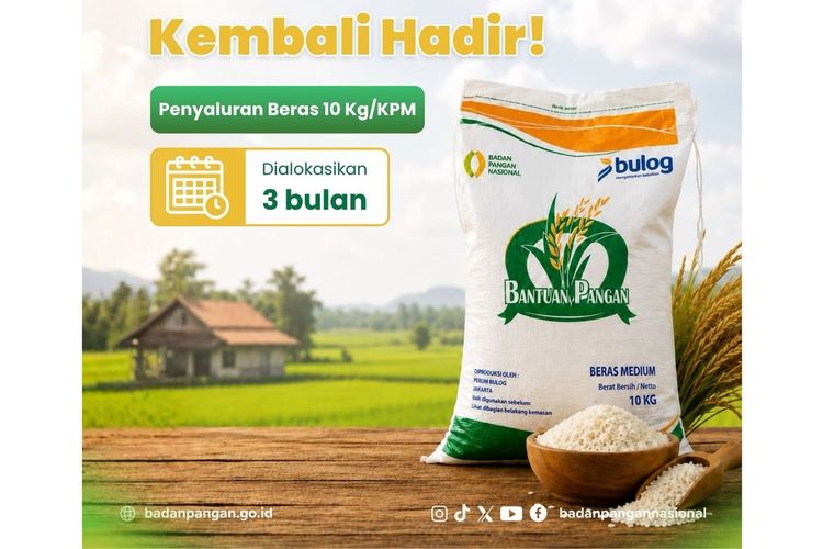 Pemerintah Salurkan Bantuan Pangan Beras untuk Keluarga Desil 1-4
