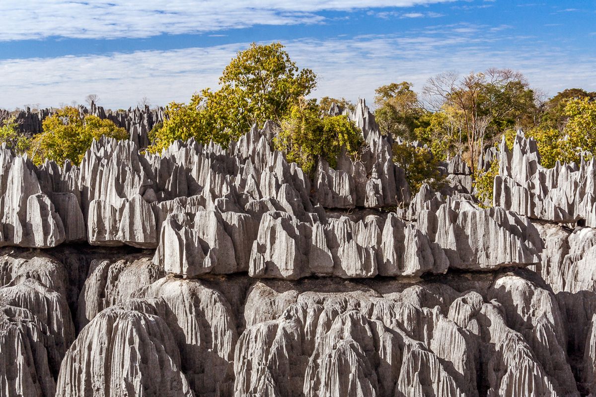 Tsingy de Bemaraha, hutan batu kapur yang terletak di Madagaskar dan merupakan Situs Kekayaan Dunia UNESCO