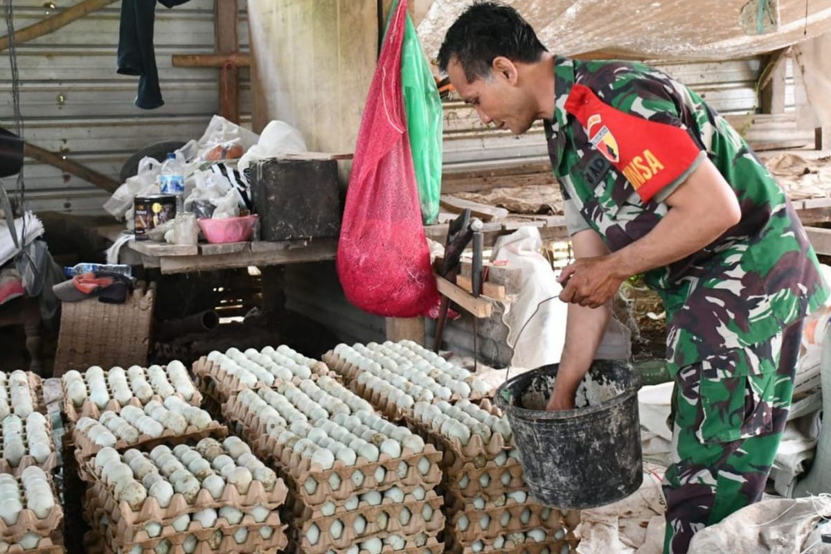 Serma Nur Jain nampak mengumpulkan telur dari 4.000 ekor bebek yang dipelihara di  Dusun Karanganyar, Desa Pucangrejo, Kecamatan Sawahan, Kabupaten Madiun