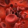 4 Cara Meningkatkan Hemoglobin dalam Darah