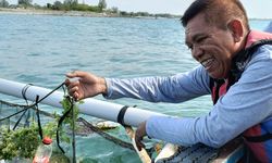 Potensi Rumput Laut Besar, tetapi Baru 11 Persen Lahan Budidaya yang Dimanfaatkan