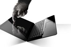 Gorilla Glass Akan Lindungi Laptop Layar Sentuh