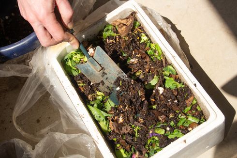 Antibau, Ini Tips Membuat Kompos Organik dari Sampah Rumah Tangga 