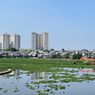 Potret Waduk Pluit Warisan Jokowi yang Kini Hampir Dipenuhi Eceng Gondok
