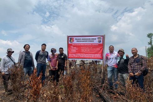 Pembakar Hutan dan Lahan untuk Kebun Sawit di Indragiri Hulu Ditangkap