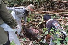 Isu Kematian Massal Satwa Liar di Taman Nasional Bogani Nani Wartabone Gemparkan Warga Gorontalo