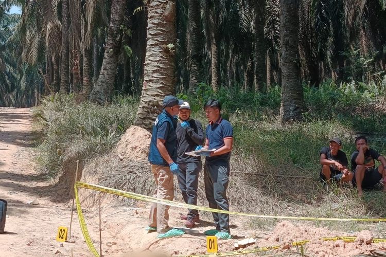 Mayat Pria Ditemukan di Parit Kebun Sawit Muba Sumsel, Ada Luka Lebam di Dada